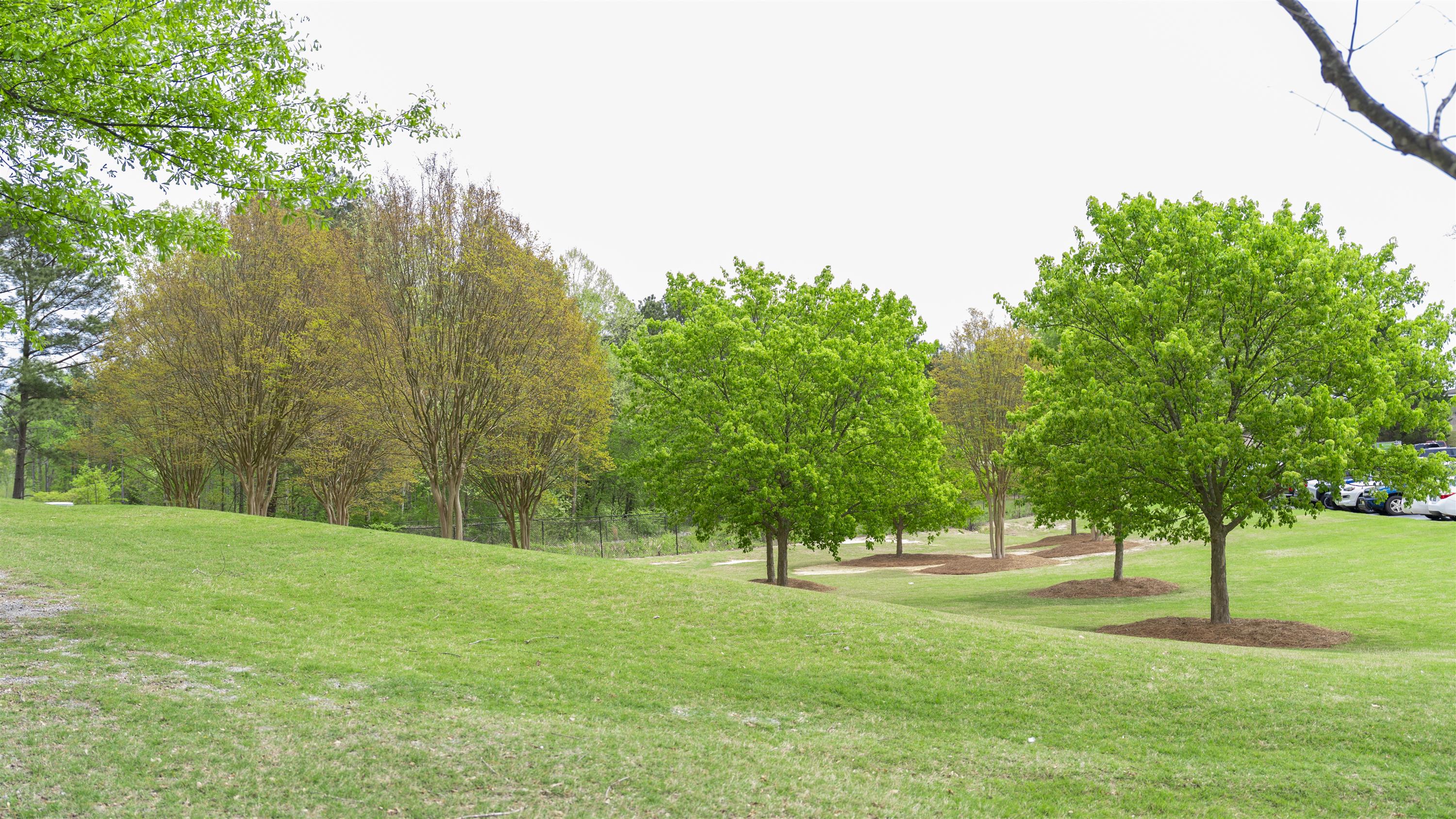Walking trail